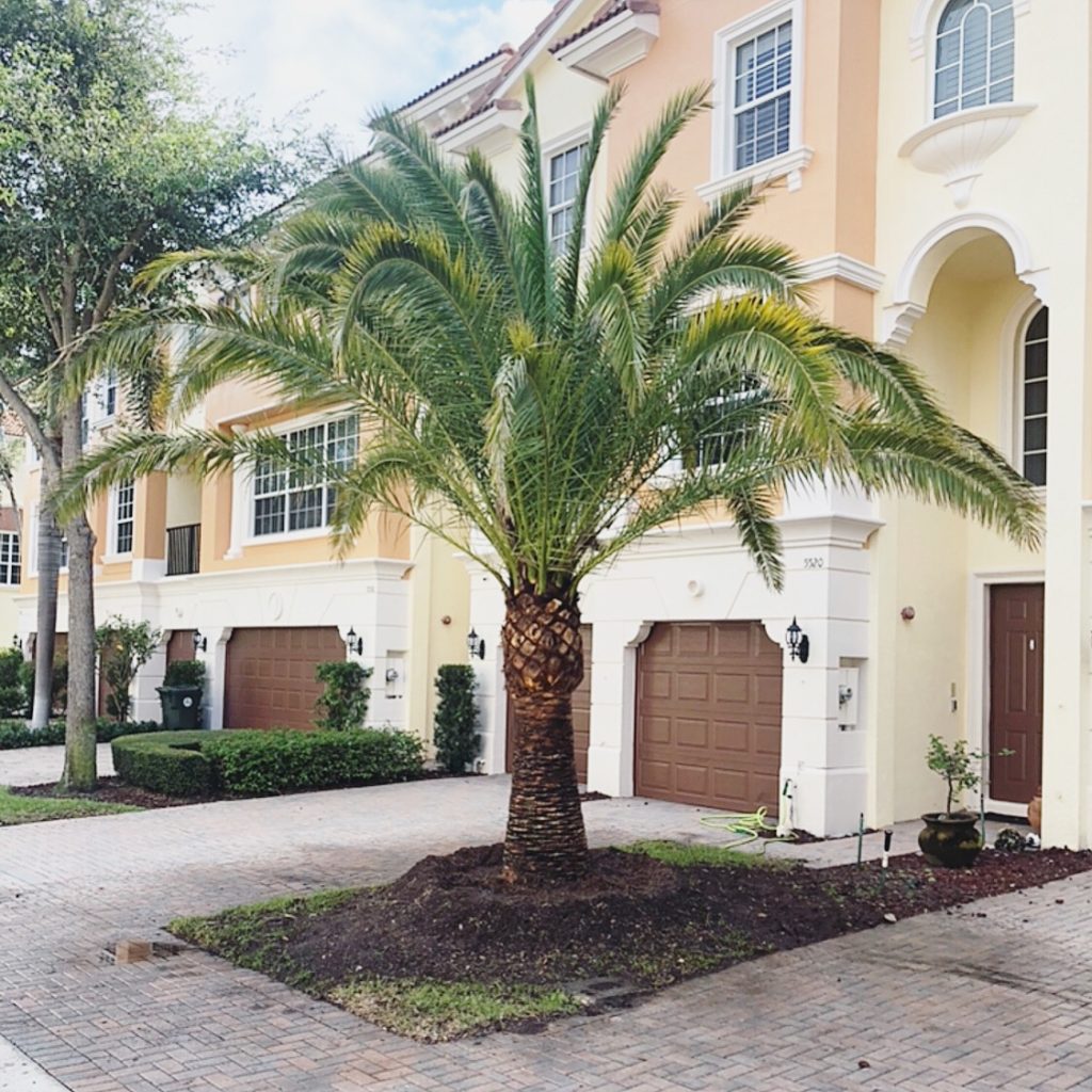 tree services boca raton florida