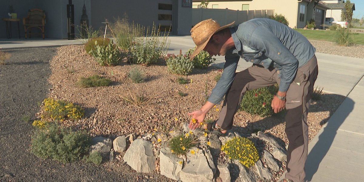 Fruita author and landscaper renowned for work on crevice gardens